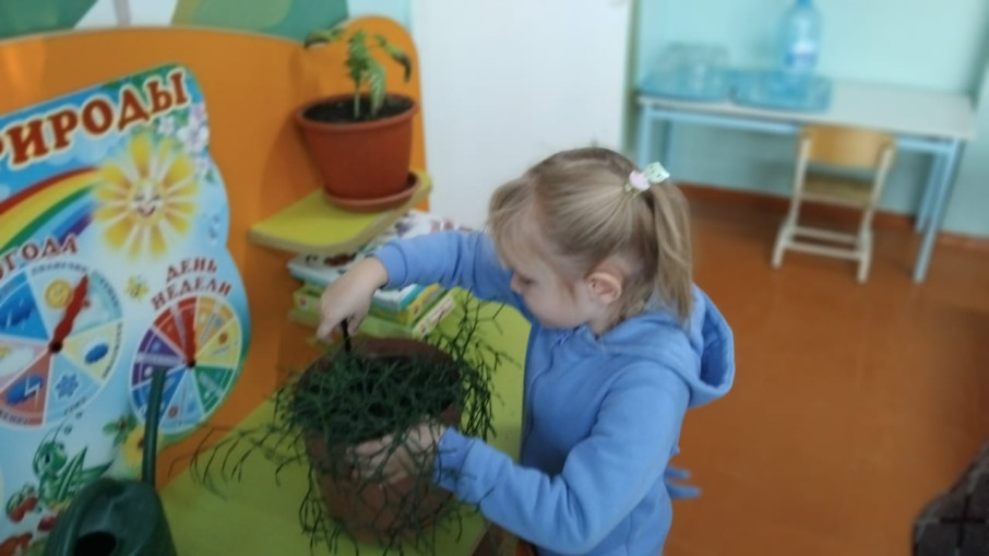 Учимся ухаживать за растениями Учимся ухаживать за растениями.