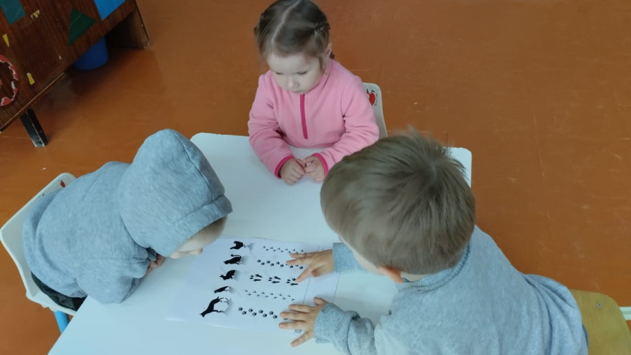 Следопыты Следопыты.